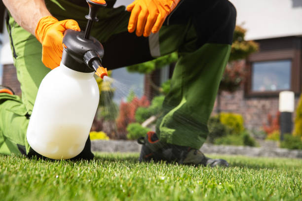 Bird Control in Revere, MA