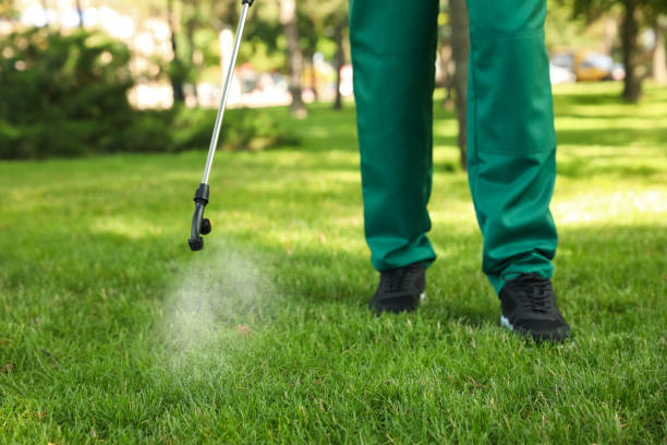 Best Wildlife Control Services  in Revere, MA