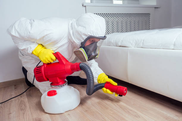 Best Pest Removal Services  in Revere, MA